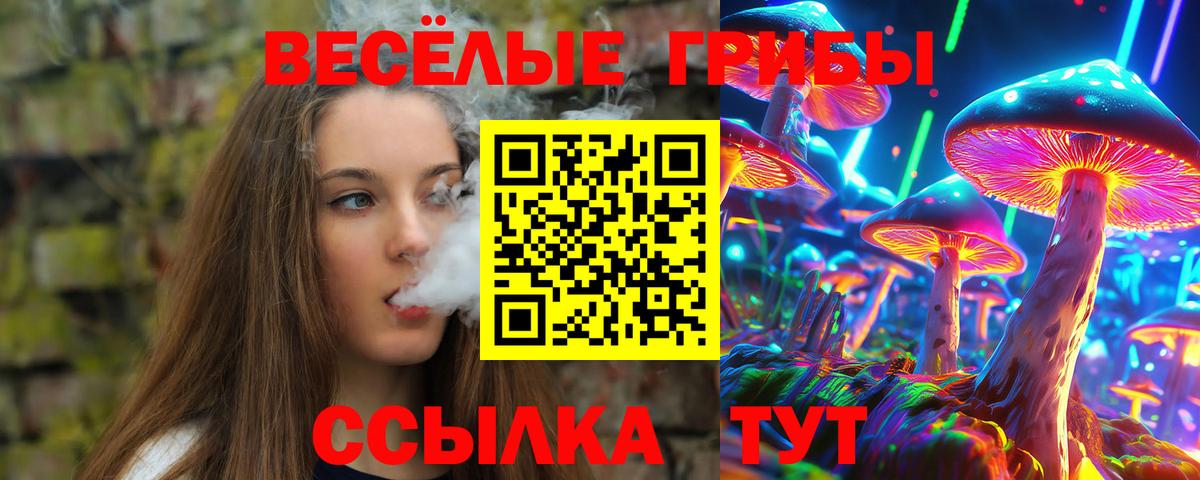 Северск  Псилоцибиновые грибы GOLDEN TEACHER  магазин  наркотиков  Вход с VPN  Галлюциногенные грибы MAGIC MUSHROOMS 