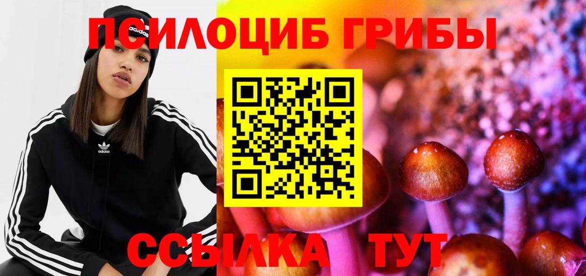 Галлюциногенные грибы мицелий Северск